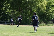 OTFL Gallery Image